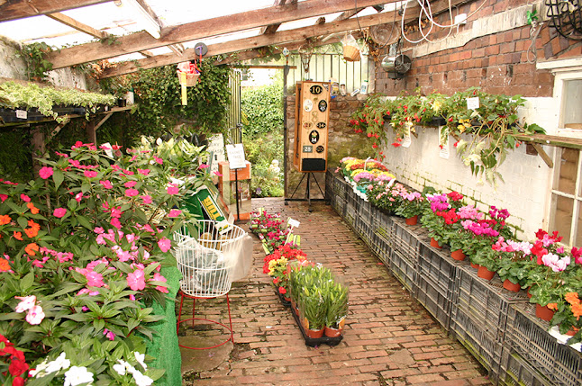 Comments and reviews of Thornbury Garden Shop