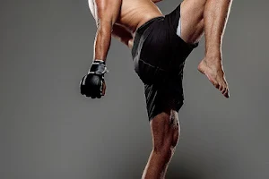 Boxing & Kickboxing “Stankovic” image