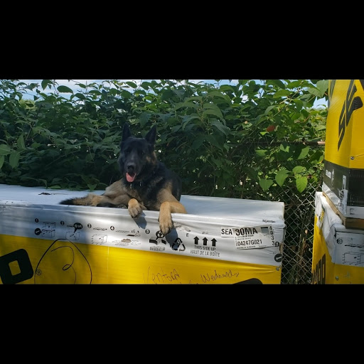 Motorcycle Dealer «Ledgewood Powersports», reviews and photos, 1368 US-46, Ledgewood, NJ 07852, USA