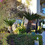 Photo n°5 de l'avis de Kai.. fait le 06/04/2019 à 18:55 sur le  Hotel Metropol à Diano Marina