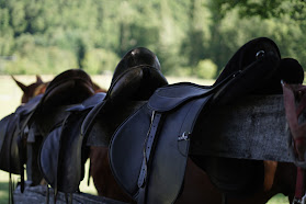 Cabalgatas y Equinoterapia Alma Equina Pucon