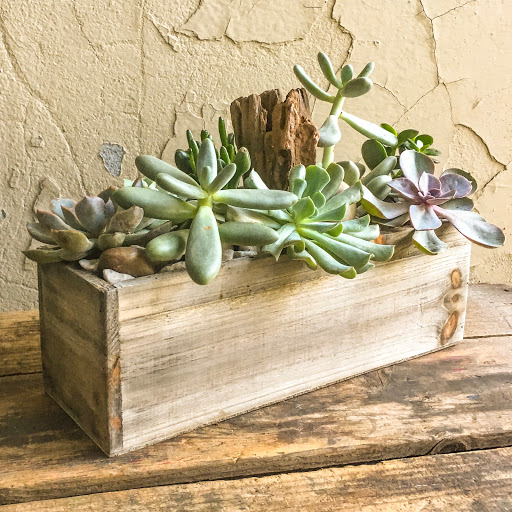 Wholesale Florist «Urban Jungle», reviews and photos, 2603 Sherman Ave NW, Washington, DC 20001, USA