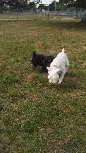 Park «Dog Park», reviews and photos, 1121 Locust St, Fall River, MA 02720, USA