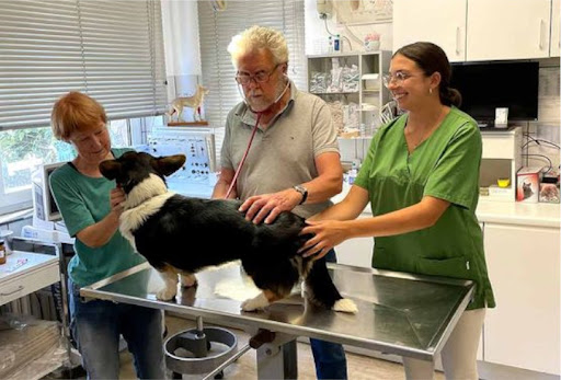 Dr. med. vet. Heiko Delorme unter Münster, Nordrhein-Westfalen