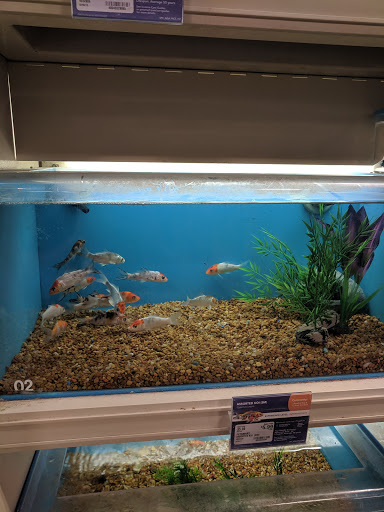 Pet Supply Store «PetSmart», reviews and photos, 863 St George Ave, Woodbridge, NJ 07095, USA