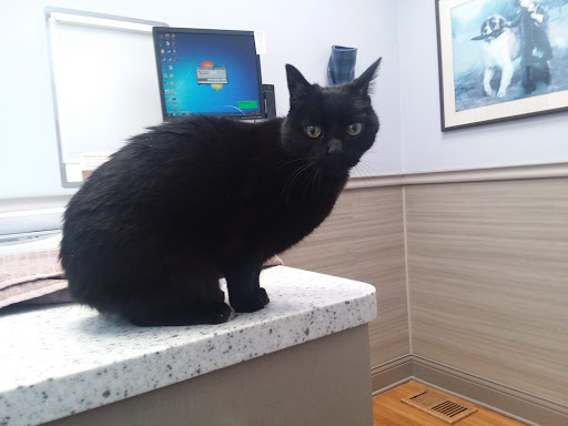 1140 Grand Ave, St Paul, MN 55105, USA