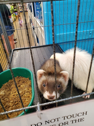 Pet Supply Store «Pet Supplies Plus», reviews and photos, 1213 Mentor Ave, Painesville, OH 44077, USA