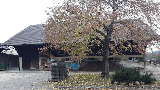 Rezensionen über Baumschule/Kompostanlage der Stadtgärtnerei in Basel - Blumengeschäft