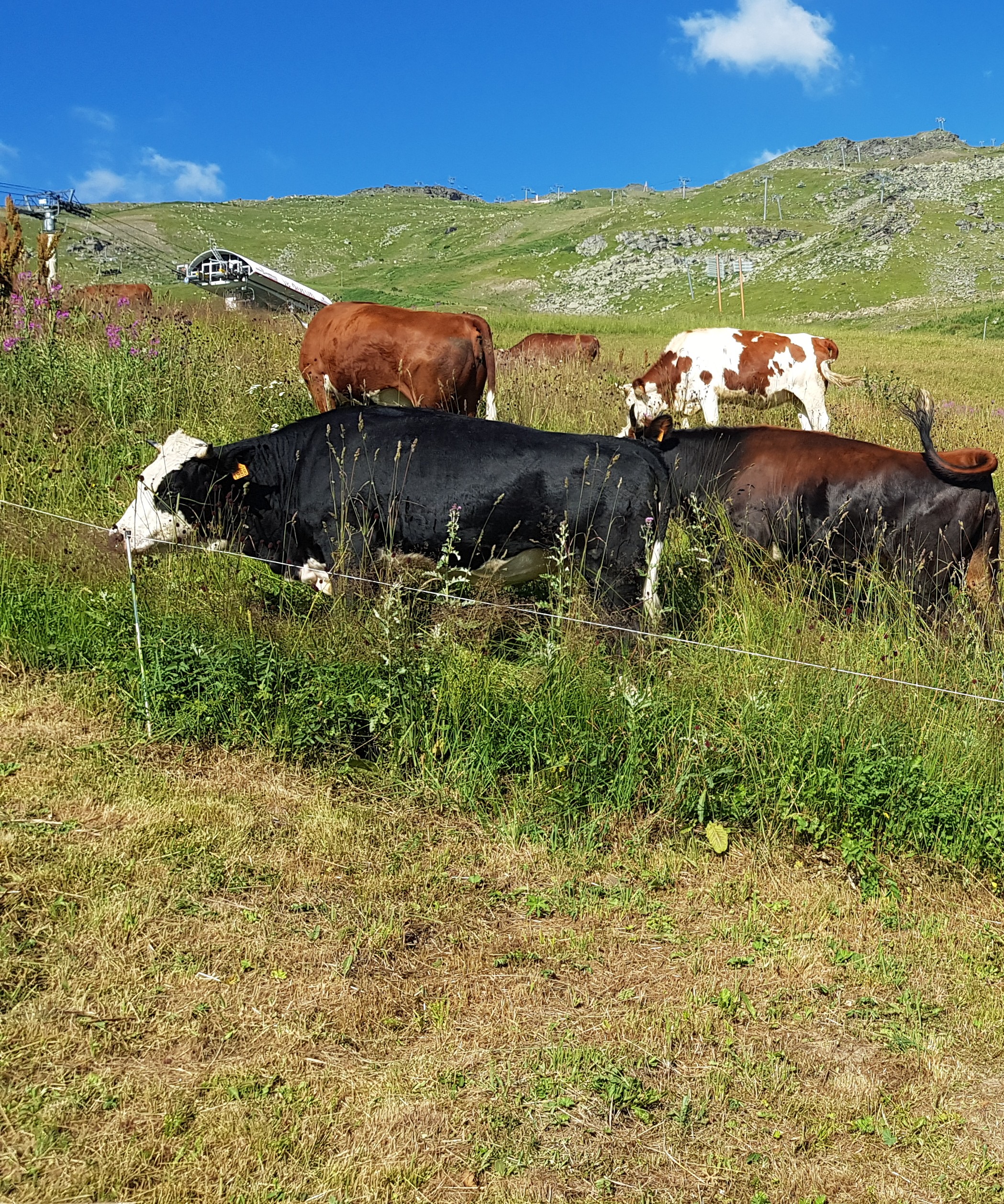 Photo n° 6 de l'avis de Yoram.h fait le 23/08/2018 à 18:31