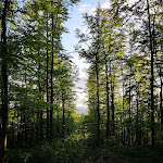 Photo n°1 de l'avis de Alexander.e fait le 16/05/2019 à 18:42 sur le  Berggasthof Blockhütte à Sonneberg