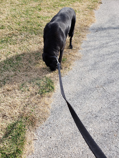 Dog Park «Perry Paw Dog Park», reviews and photos, 9033 Honeygo Blvd, Perry Hall, MD 21128, USA