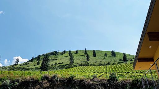 Vineyard «Mellisoni Vineyards», reviews and photos, 3155 US-97 ALT, Chelan, WA 98816, USA