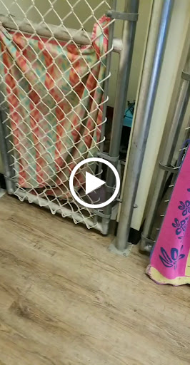 Calabasas Animal Clinic image