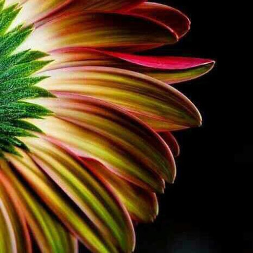 Wine Store «Woodland Hills Wine Company», reviews and photos, 22622 Ventura Blvd, Woodland Hills, CA 91364, USA