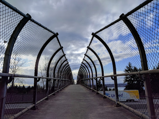 State Park «Bridle Trails State Park», reviews and photos, 5300 116th Ave. N.W., Kirkland, WA 98033, USA