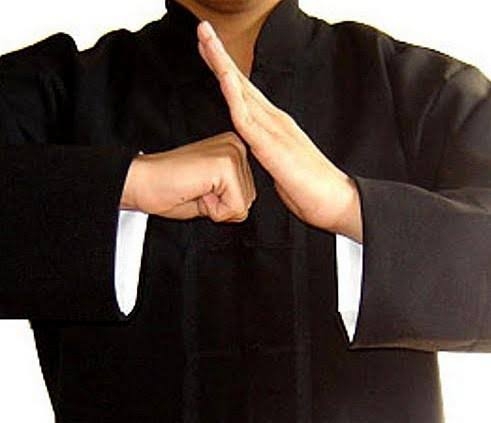 Associação De Kung Fu Wushu Ari Galvão