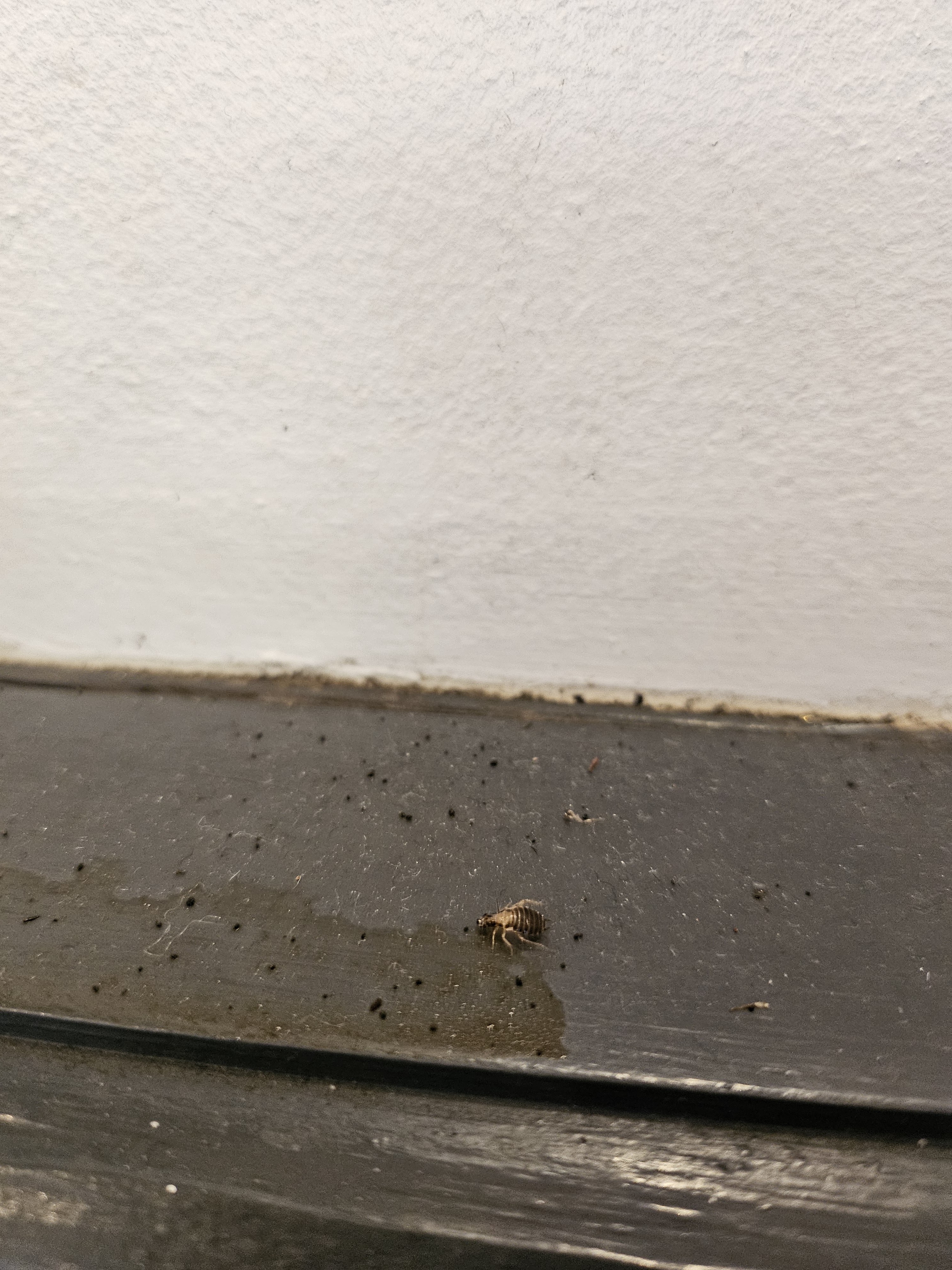 Photo n° 1 de l'avis de Francois.a fait le 31/03/2024 à 11:27