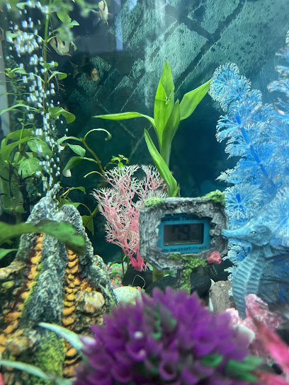 DMV aquarium hookup