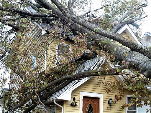 General Contractor «Joe Percario General Contractors», reviews and photos, 1259 E St Georges Ave, Roselle, NJ 07203, USA