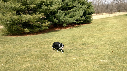 Golf Course «Eastern Hills Golf Course», reviews and photos, 6075 E G Ave, Kalamazoo, MI 49004, USA