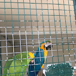 Photo n°11 de l'avis de Antonino.i fait le 10/04/2023 à 10:56 sur le  Agriturismo La Contea del Vignolo Fiorito à Graffignana