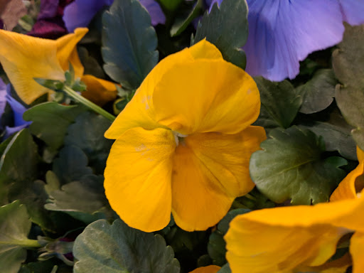 Grocery Store «Lunds & Byerlys Bloomington», reviews and photos, 5159 W 98th St, Bloomington, MN 55437, USA