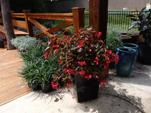 Botanical Garden «Botanical Gardens-Heritage Pk», reviews and photos, 411 Ball St, Grapevine, TX 76051, USA