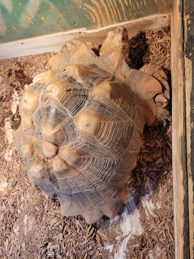 Pet Store «The Pet Zone», reviews and photos, 20 W Oak St, Pittston, PA 18640, USA