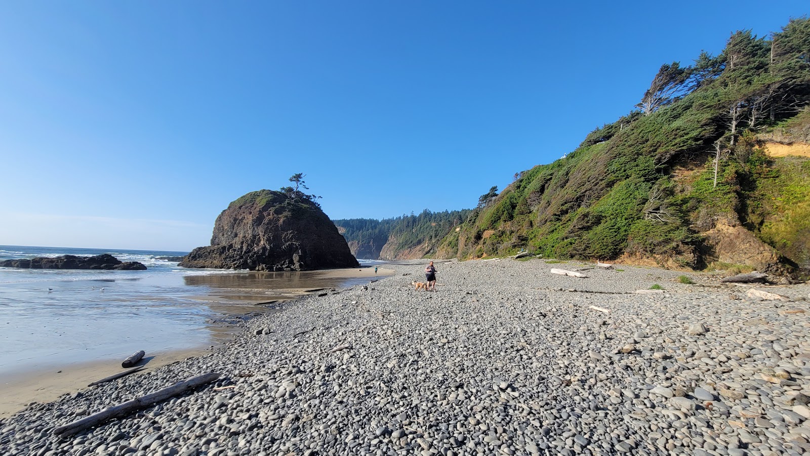 Foto van Larson Creek beach Oregon wilde omgeving