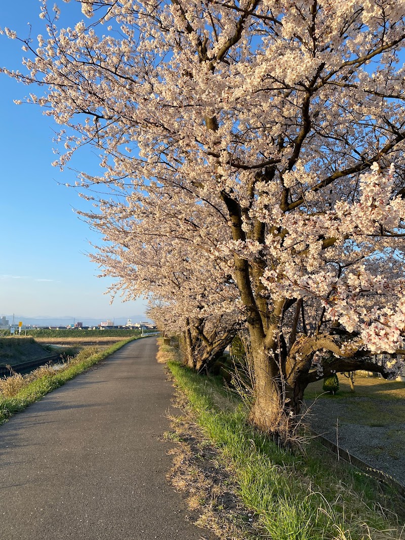 自生園自生園ひらんて