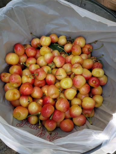 Produce Market «Washington Fruit Place At Barrett Orchards», reviews and photos, 1209 Pecks Canyon Rd, Yakima, WA 98908, USA