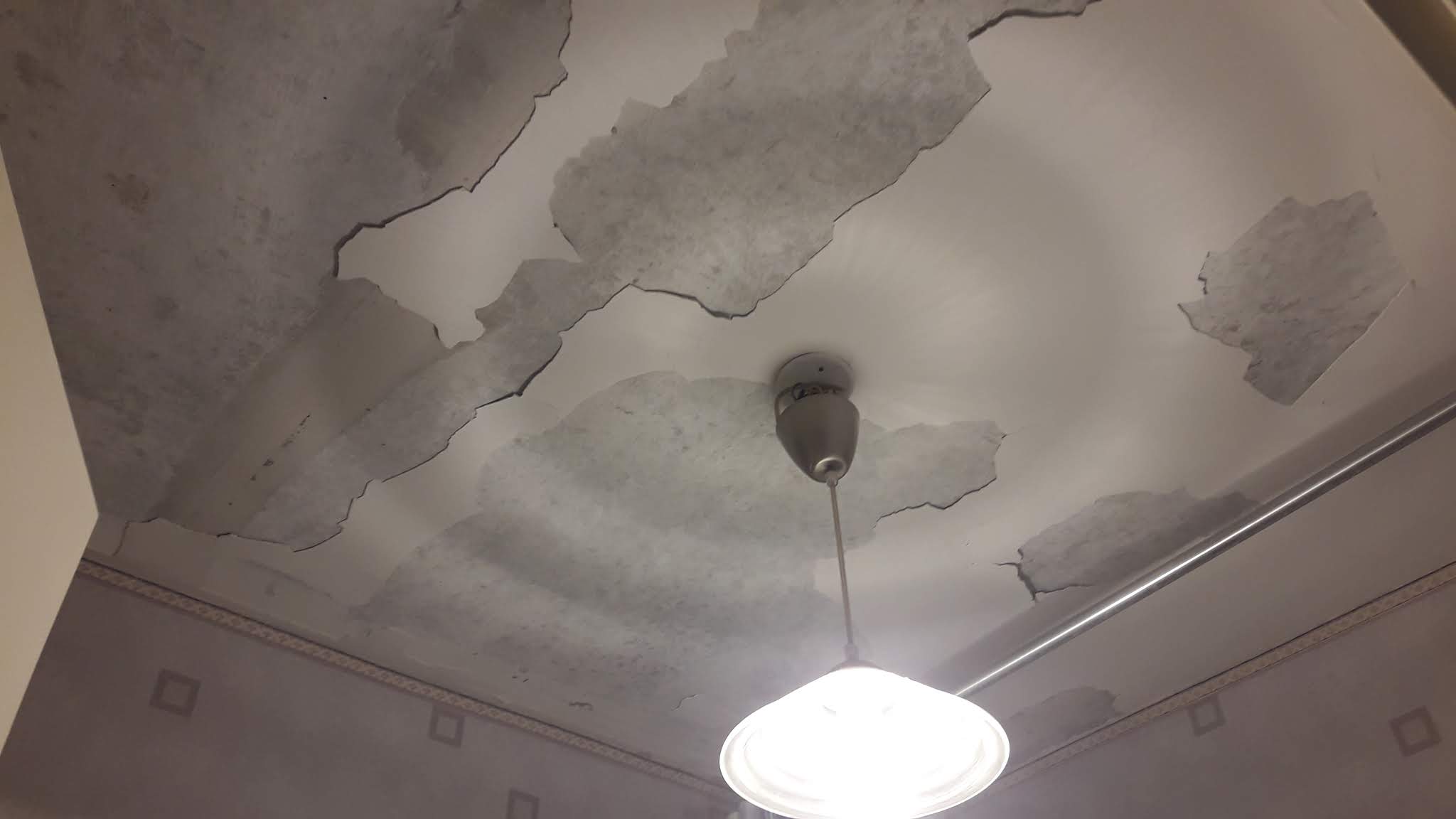 Photo n° 1 de l'avis de camille.e fait le 18/07/2019 à 04:31