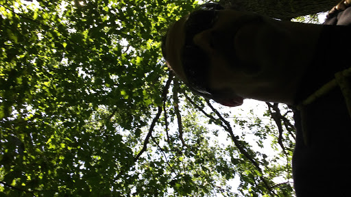 State Park «Taylorsville Lake State Park», reviews and photos, 1320 Park Rd, Mt Eden, KY 40046, USA