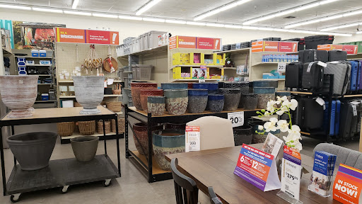 Discount Store «Big Lots», reviews and photos, 775 S Orange Blossom Trail, Apopka, FL 32703, USA