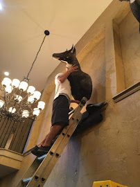 Premier Designs & Moving - Photo 8 - Car repair in Dallas, TX, Dallas