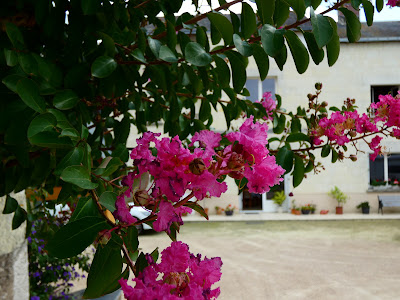 Domaine de la Sandrey à Turquant