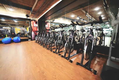 OUR GYM, VASNA BHAYLI ROAD - URBAN 2 Tp 2, Vasna Bhayli Main Rd, opp. Pavillion heights, near Priya talkies, Tandalja, Vadodara, Gujarat 391410, India