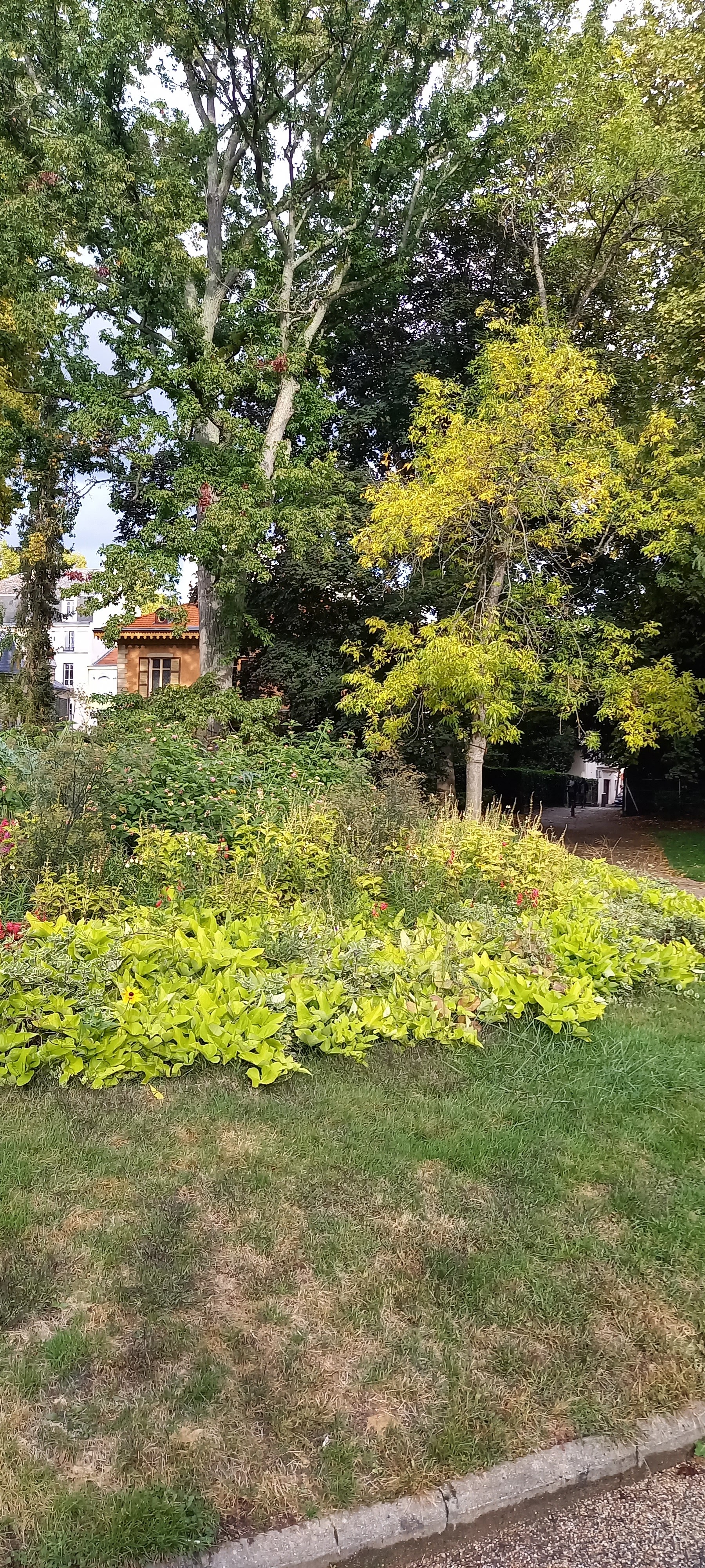 Photo n° 2 de l'avis de Françoise.i fait le 29/09/2022 à 19:26
