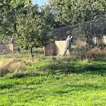 Photo n° 1 de l'avis de Hugues.e fait le 17/08/2023 à 12:28 pour Paintball Quartier Général à Goven