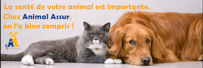 ANIMAL ASSUR à Rennes