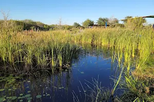 Oso Bay Wetlands Preserve image