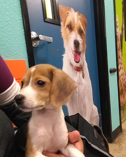 Pet Supply Store «PetSmart», reviews and photos, 2458 Central Park Ave, Yonkers, NY 10710, USA