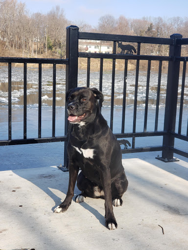 Park «Bicentennial Riverfront Park», reviews and photos, 301 E Hydraulic St, Yorkville, IL 60560, USA