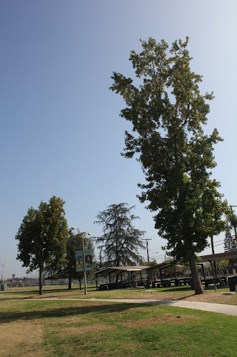 Park «Memorial Park», reviews and photos, 320 N Orange Ave, Azusa, CA 91702, USA