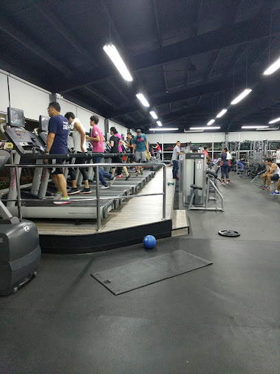 POWER CLUB | ALBROOK