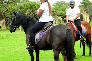 Harties Horse and Trail Safaris image