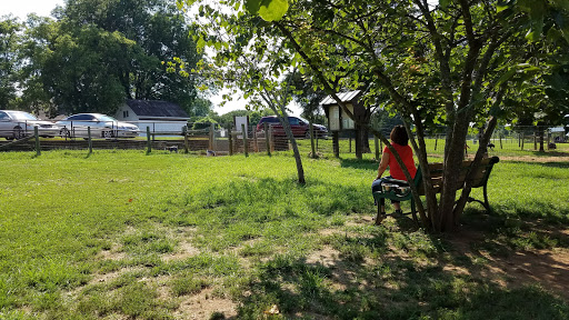 Dog Park «Murfreesboro Bark Park», reviews and photos, 1540 W College St, Murfreesboro, TN 37130, USA