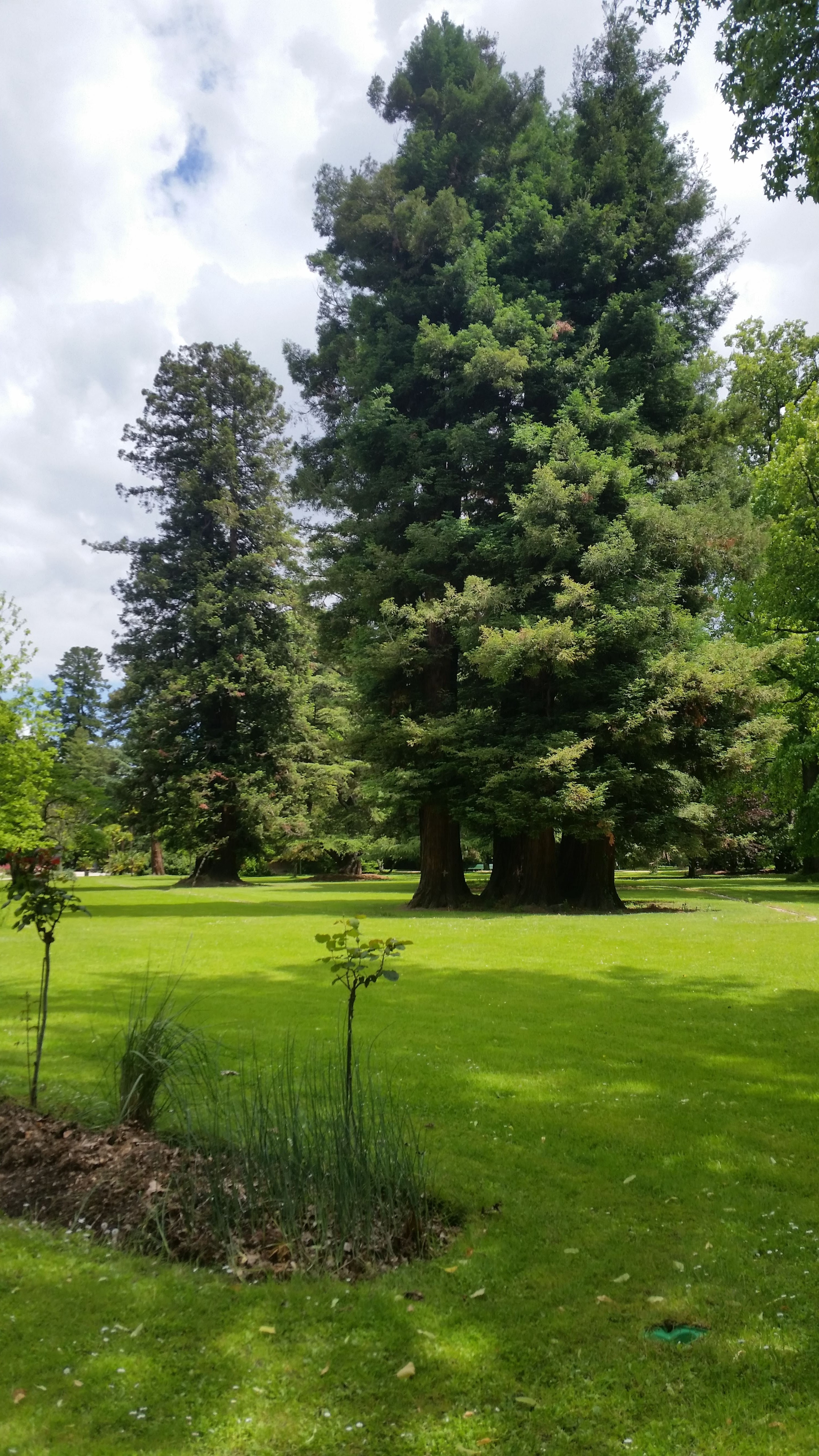 Photo n° 7 de l'avis de didier.r fait le 30/05/2019 à 11:53