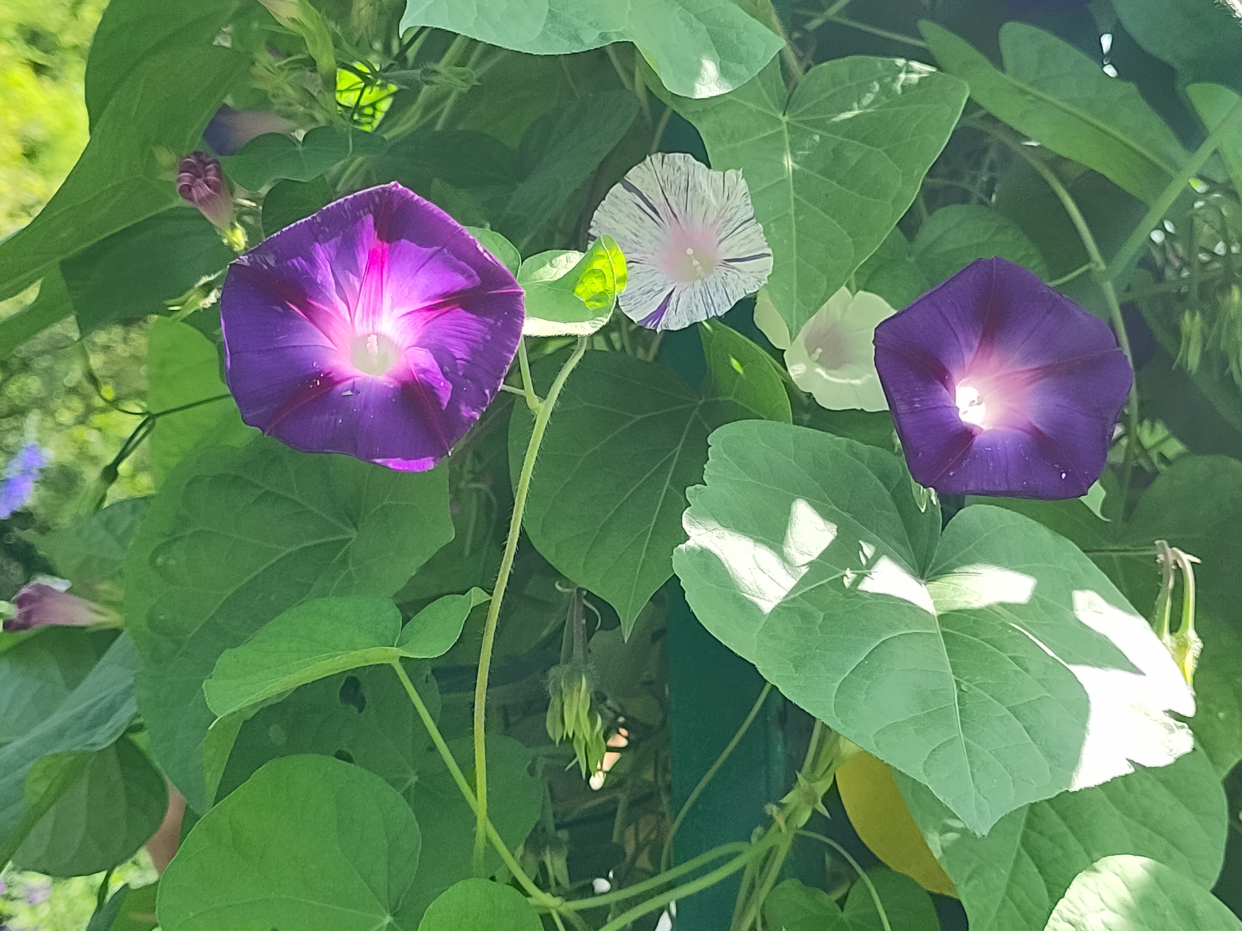 Photo n° 1 de l'avis de Lumin.U fait le 29/08/2023 à 15:58