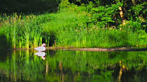 Event Venue «The Sanders Estate», reviews and photos, 5516 S 277th St, Kent, WA 98032, USA